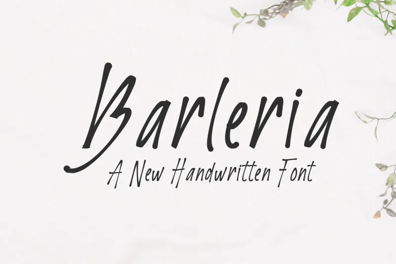 Barleria Script Font