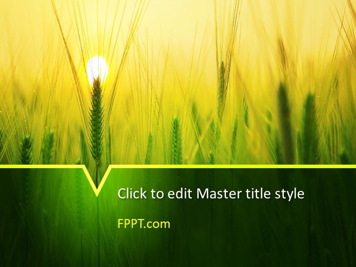 Barley PowerPoint Template