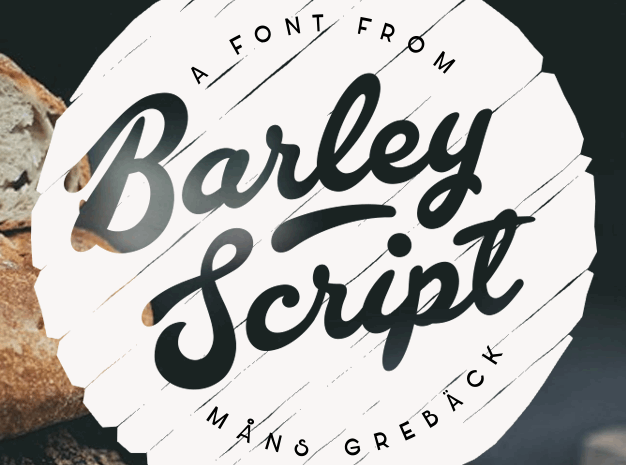 Barley Script Font