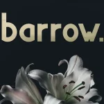 Barrow Typeface - Fonte Grátis Barrow Typeface
