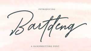 Bartdeng Script Font › Fontesk