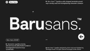 Baru Sans Font Family › Fontesk
