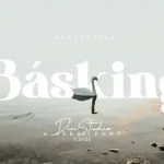 Basking Serif Font