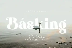 Basking Serif Font