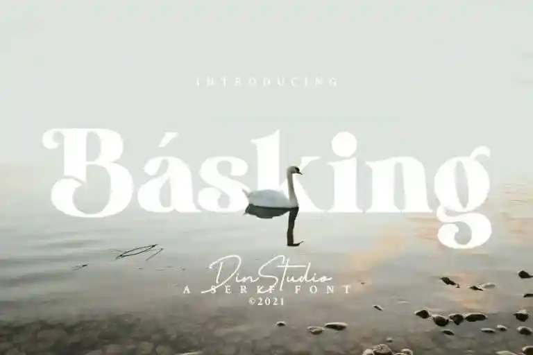 Basking Serif Font