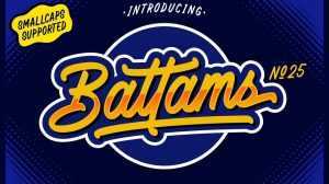 Battams N 25 Script Font › Fontesk