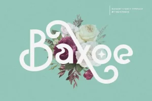 Baxoe Sans Serif Font