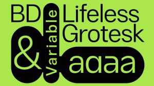 BD Lifeless Grotesk Font Family › Fontesk