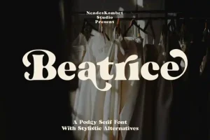 Beatrice Serif Font