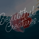 Beautiful Creatures Font