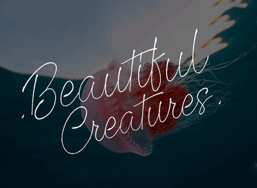 Beautiful Creatures Font