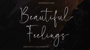Beautiful Feelings Font › Fontesk