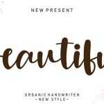 Beautiful Script Font › Fontesk