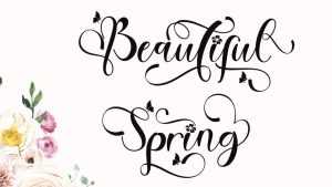 Beautiful Spring Font › Fontesk