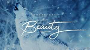 Beauty Script Font › Fontesk