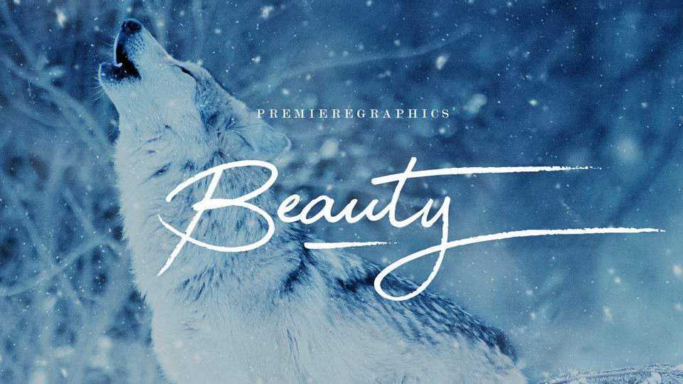 Beauty Script Font › Fontesk