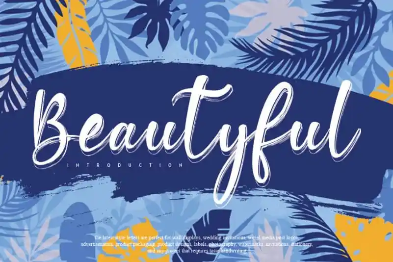 Beautyful Script Font
