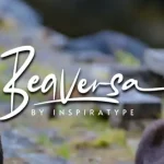 Beaversa Script Font - Fonte Grátis Beaversa Script Font