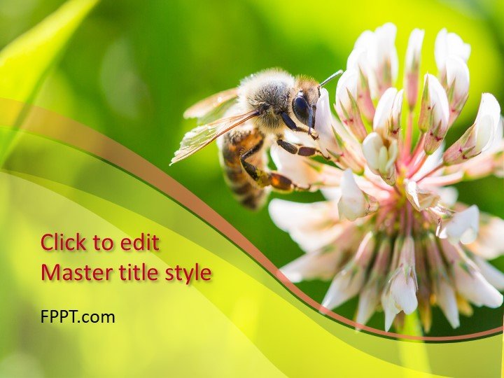Bee PowerPoint Template