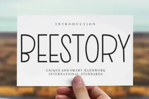 Beestory Display Font