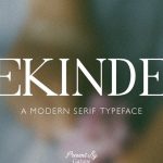 Bekinder Font › Fontesk