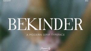 Bekinder Font › Fontesk