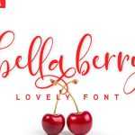 BellaBerry Script Font › Fontesk