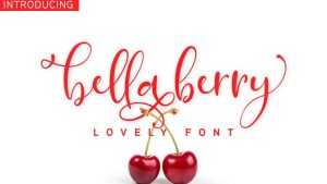 BellaBerry Script Font › Fontesk