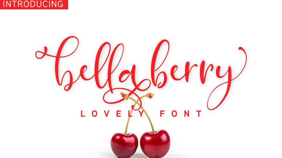 BellaBerry Script Font › Fontesk