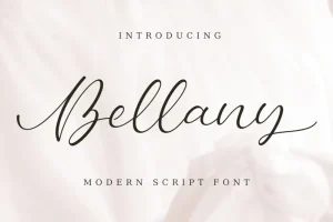 Bellany - Modern Script Font