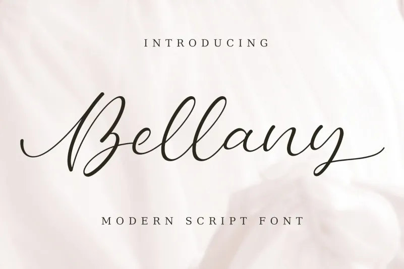 Bellany - Modern Script Font