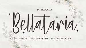 Bellataria Font › Fontesk