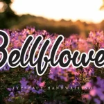 Bellflower Handwritten Font