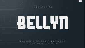 Bellyn Font › Fontesk