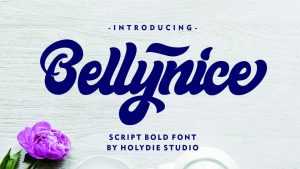 Bellynice Script Font › Fontesk