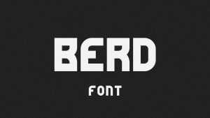 Berd Font › Fontesk