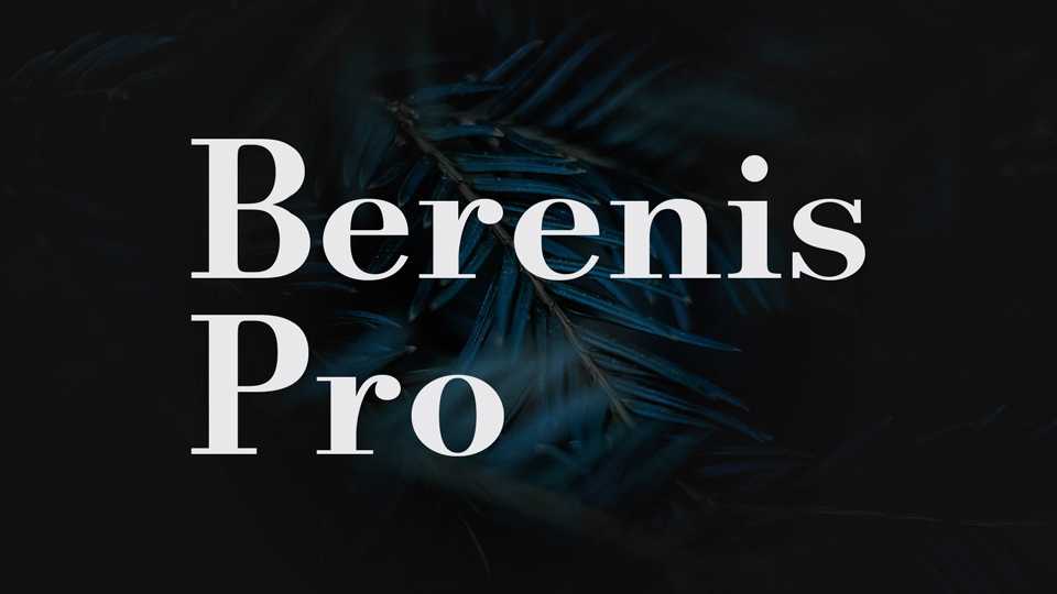 Berenis Pro Font Family › Fontesk