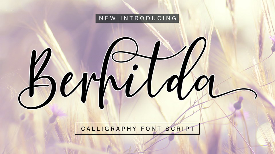 Berhilda Script Font › Fontesk