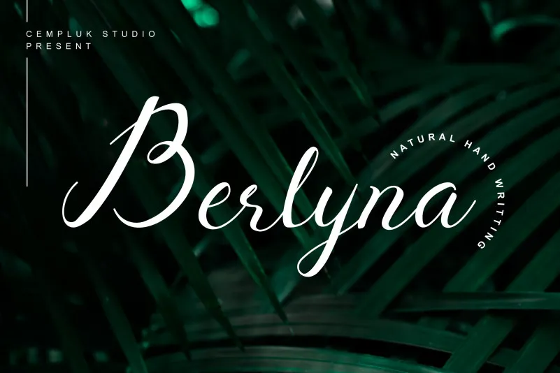 Berlyna - Modern Script Font
