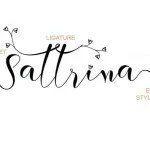 Berthessa Calligraphy Font