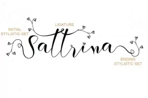 Berthessa Calligraphy Font