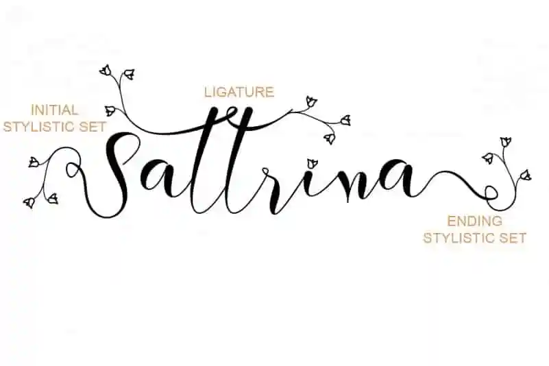 Berthessa Calligraphy Font