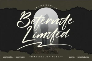 Beternite Limited Font
