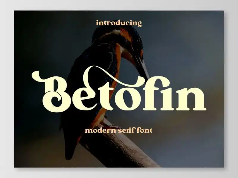 Betofin Serif Font