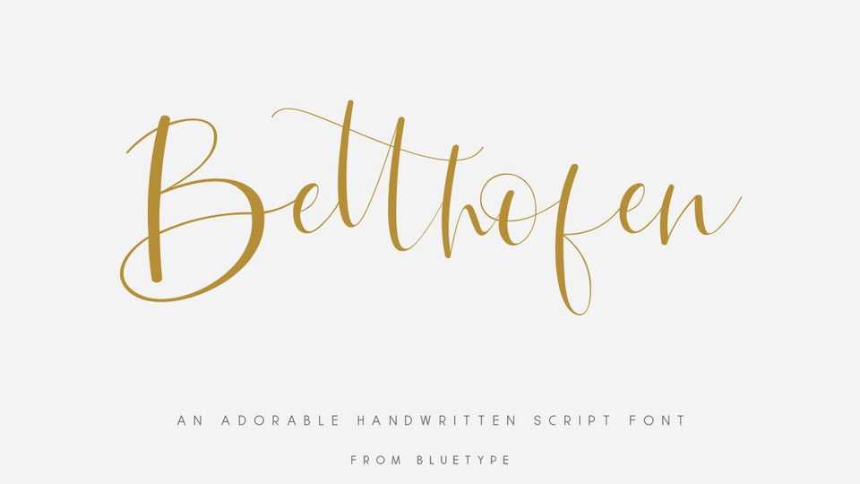 Betthofen Script Font › Fontesk