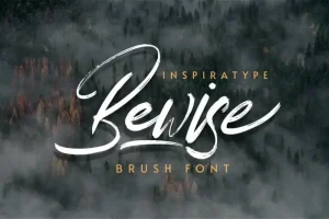 Bewise Brush Font