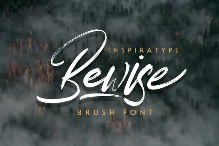 Bewise Brush Font