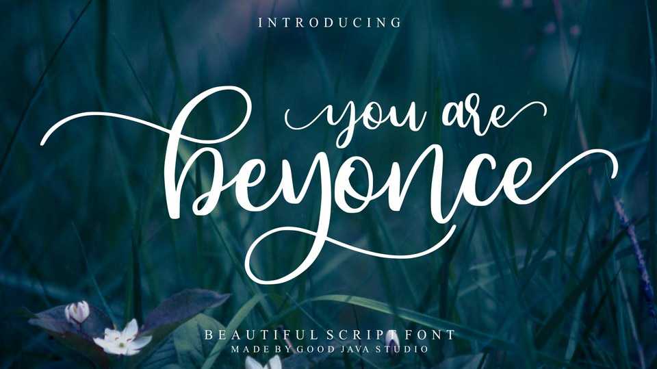 Beyonce Script Font › Fontesk