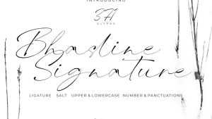 Bhasline Font › Fontesk