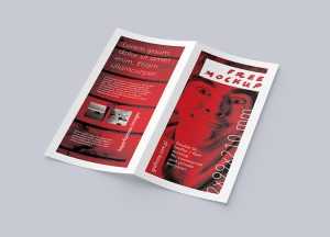 Bi-fold DL leaflet mockup